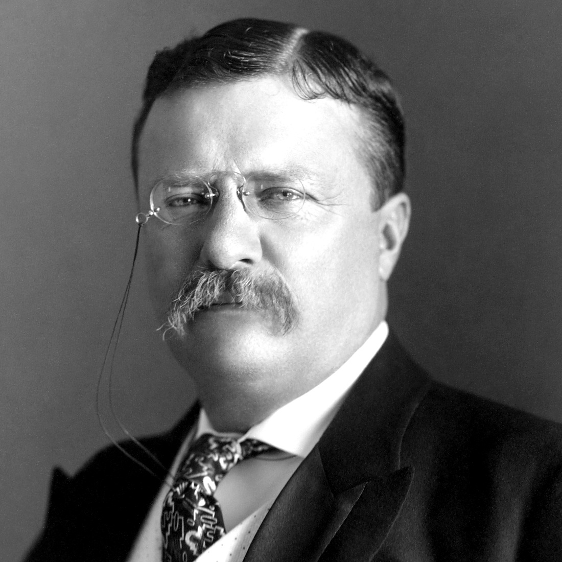 Portrait of Theodore Roosevelt